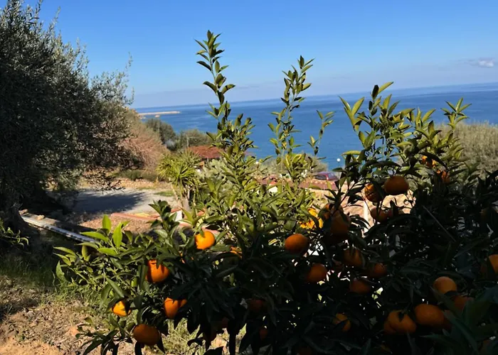 Mareblu 3* チェファル